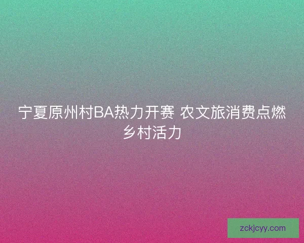 宁夏原州村BA热力开赛 农文旅消费点燃乡村活力 宁夏原州村BA热力开赛 农文旅消费点燃乡村活力