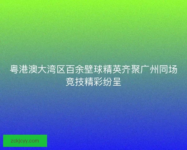 粤港澳大湾区百余壁球精英齐聚广州同场竞技精彩纷呈 粤港澳大湾区百余壁球精英齐聚广州同场竞技精彩纷呈