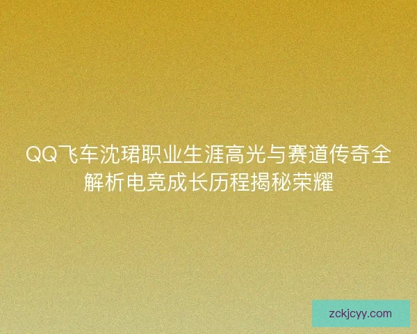 QQ飞车沈珺职业生涯高光与赛道传奇全解析电竞成长历程揭秘荣耀
