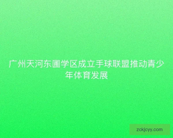 广州天河东圃学区成立手球联盟推动青少年体育发展